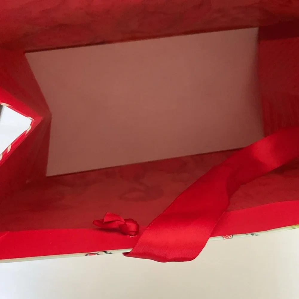 Bella Pilar X Papyrus Gift Bag NWT